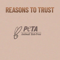 Professional Series Makeup Brush 12 Piece Set