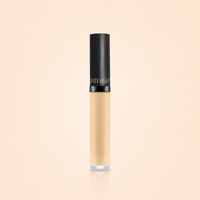 Complexion Perfection Duo
